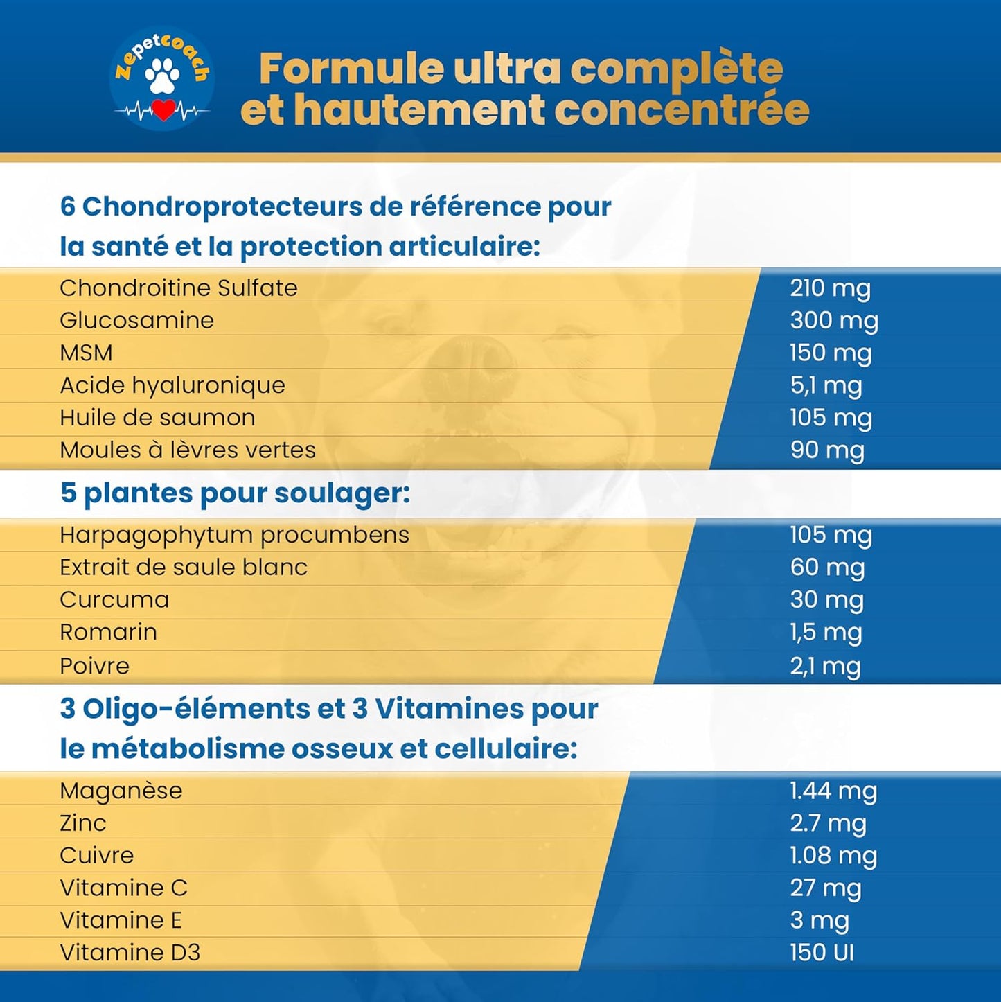 Zepetcoach® Soutien Articulaire Premium Chien