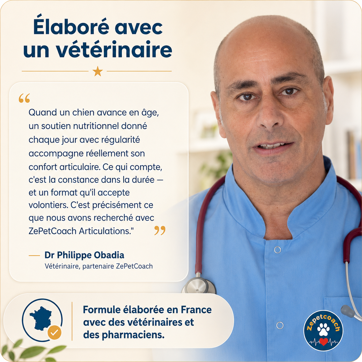 Zepetcoach® Soutien Articulaire Premium Chien