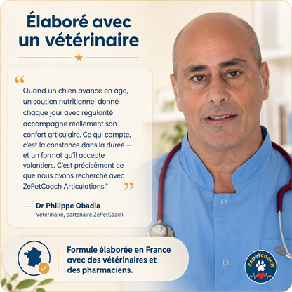 Zepetcoach® Soutien Articulaire Premium Chien